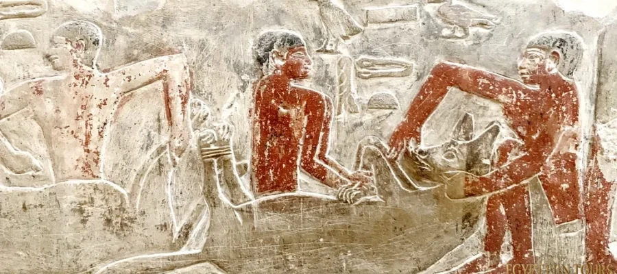 Hyenas in ancient Egypt - Egypt Travel Package