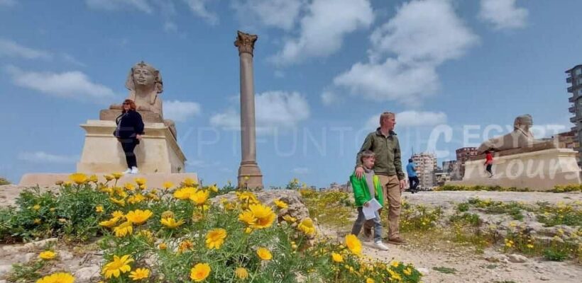 If youre looking for a great cultural experience dont miss a visit to Alexandria City egypt fun tours