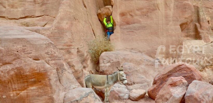 Jordan tour package 23