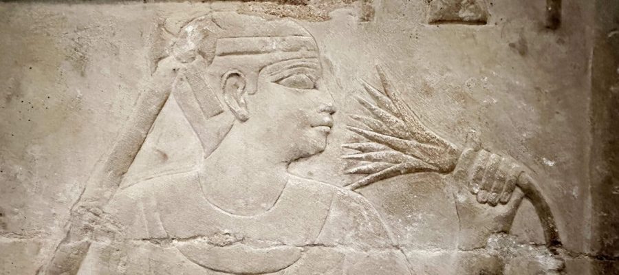 Lotus flower in ancient Egypt