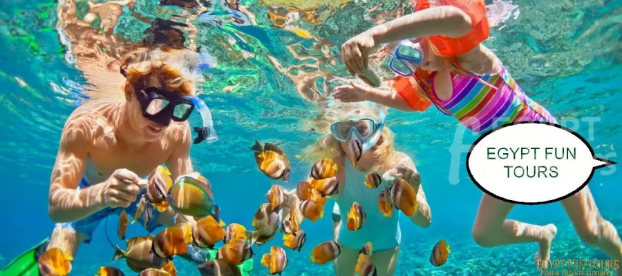 Makadi Bay Excursion Snorkeling Trip - Snorkeling trip in el gouna