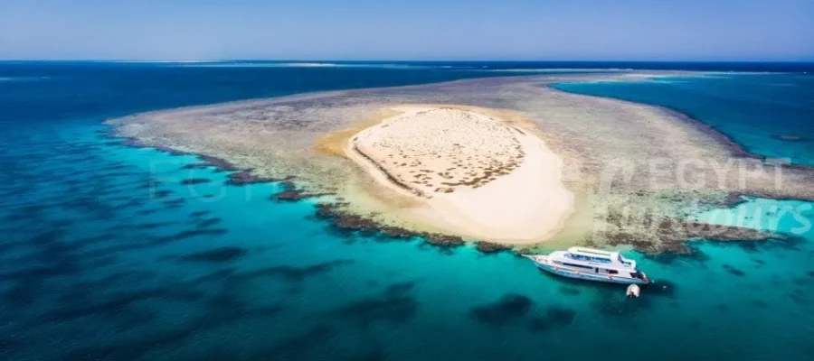 Marsa Alam Egypt Fun Tours - Things to do in Marsa alam