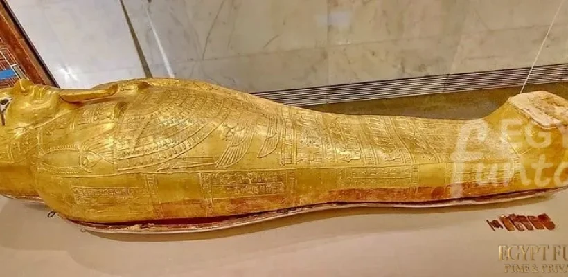 Nedjemankh coffin NMEC Egypt Fun Tours