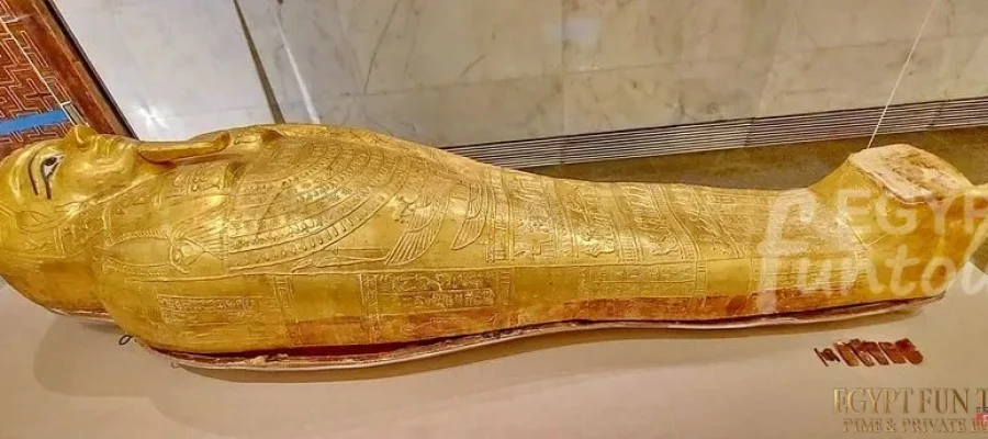 Nedjemankh coffin NMEC Egypt Fun Tours