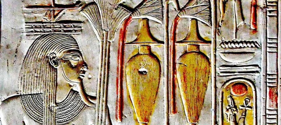 Practical uses of the ancient Egyptian lotus flower