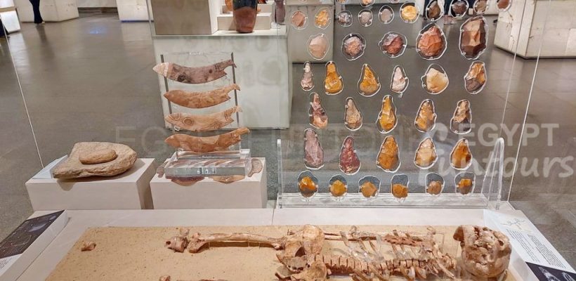 Prehistoric artifacts in civilization museum nmec Egypt Fun Tours