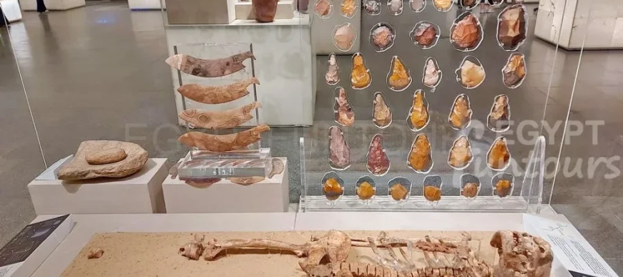 Prehistoric artifacts in civilization museum nmec Egypt Fun Tours