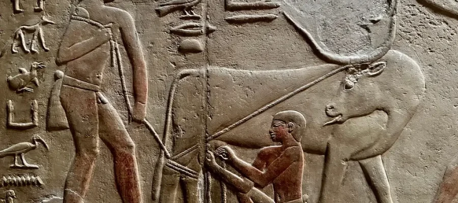 Private Giza Pyramids and Saqqara Tour Pyramids, Sphinx & Tombs