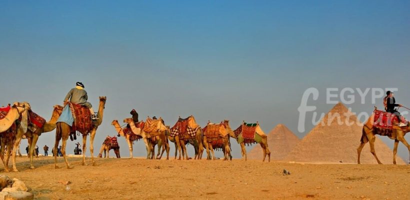 Pyramids Sphinx tours 3