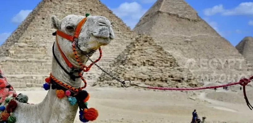 Pyramids of Giza