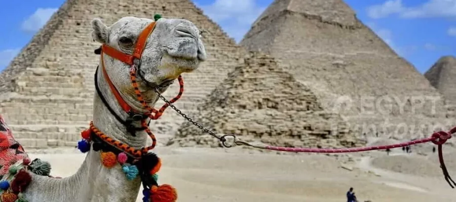 Pyramids of Giza