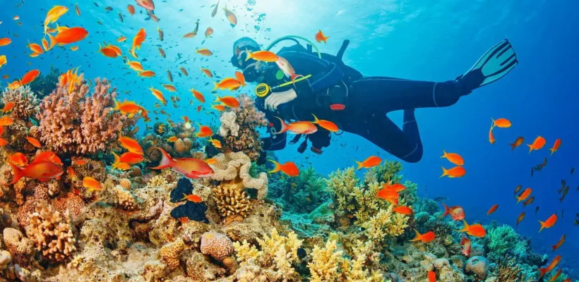 Scuba Diving from Safaga Port - Sharm El Shiekh Scuba Diving