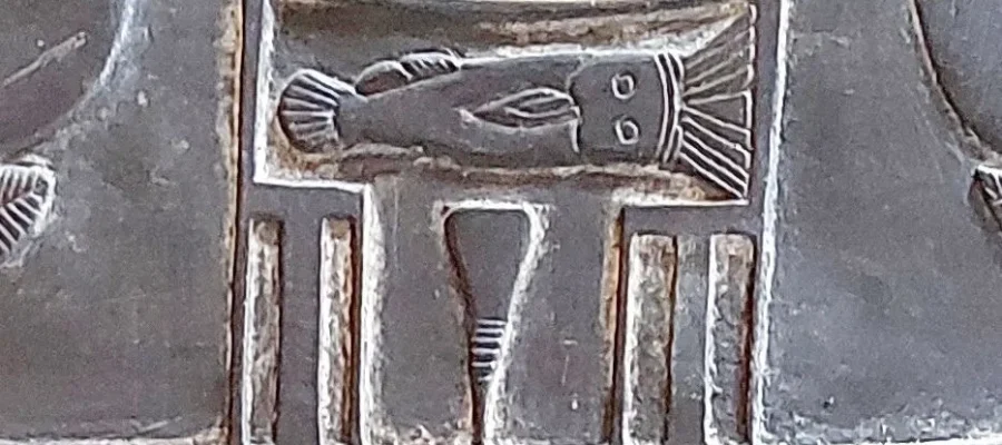 Serekh of King Narmer Ancient Egyptian Cartouche
