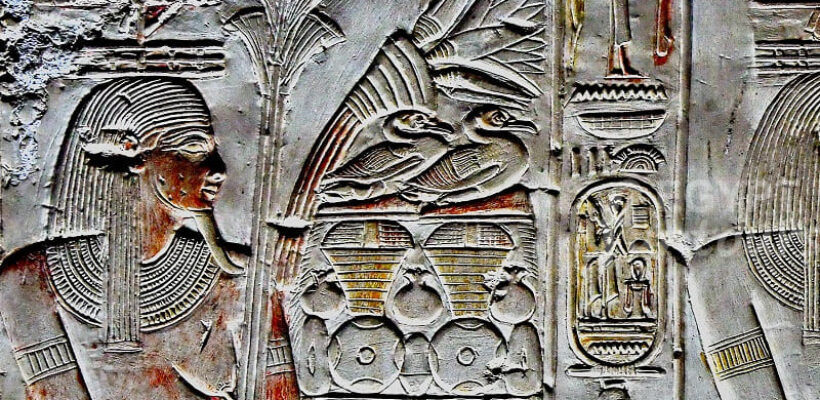 Sesen Lotus Flower Ancient Egyptian Symbols Egypt Fun Tours