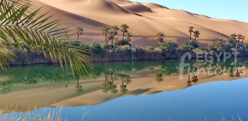 Siwa Oasis Tour