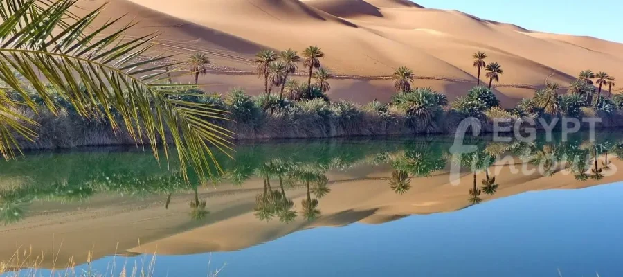 Siwa Oasis Tour