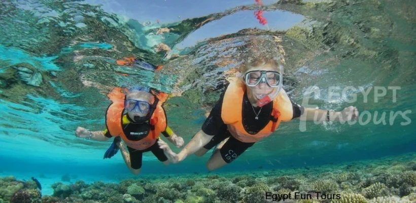 Snorkeling Excursion in Marsa Alam - Luxor Transfer to Marsa Alam