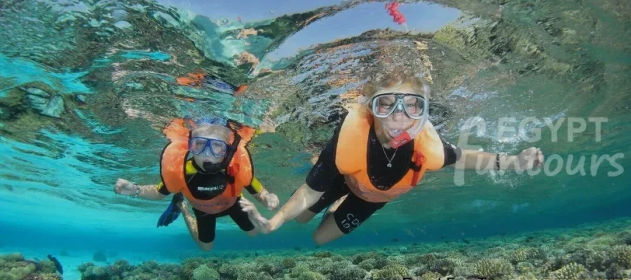 Snorkeling Excursion in Marsa Alam - Luxor Transfer to Marsa Alam