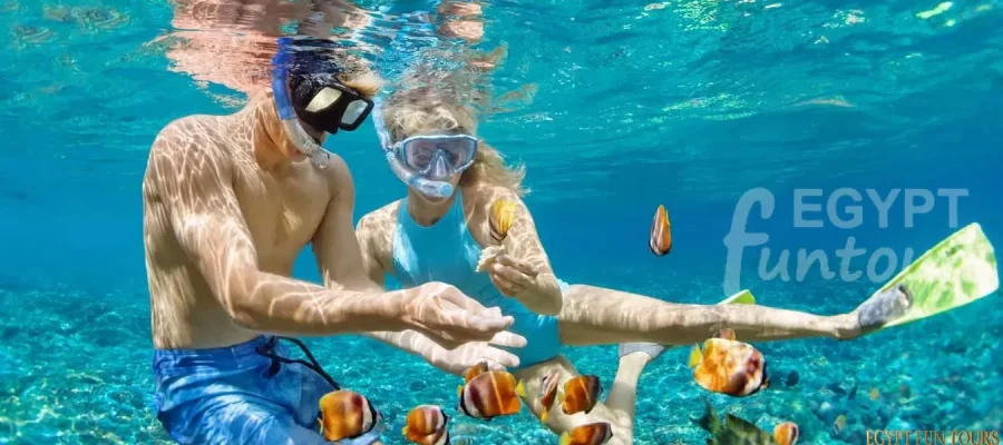 Snorkeling from Safaga Port Egypt Fun Tours