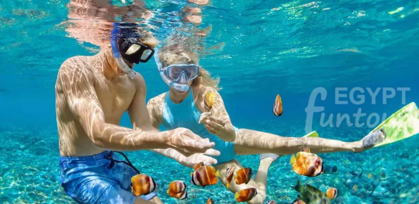 Snorkeling from Safaga Port Egypt Fun Tours