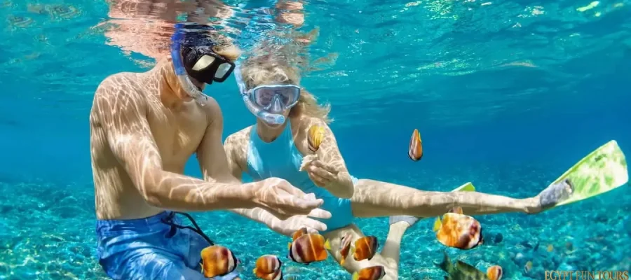 Snorkeling from Safaga Port Egypt Fun Tours