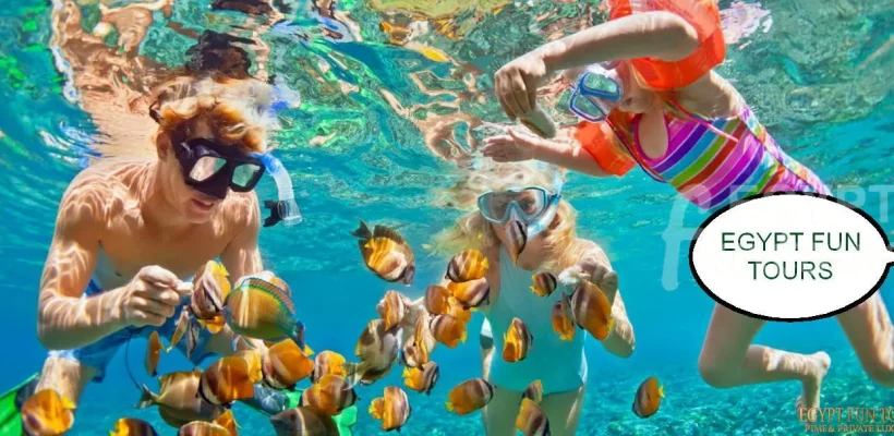 Snorkeling in Port Ghalib Tour Egypt in July - Egypt Fun Tours