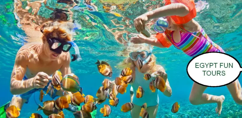 Snorkeling in Port Ghalib Egypt Fun Tours