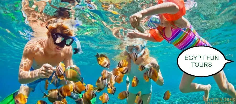 Snorkeling in Port Ghalib Egypt Fun Tours