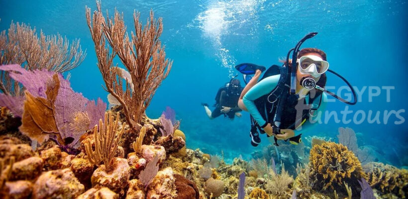 Soma Bay Diving Excursion Egypt Fun Tours