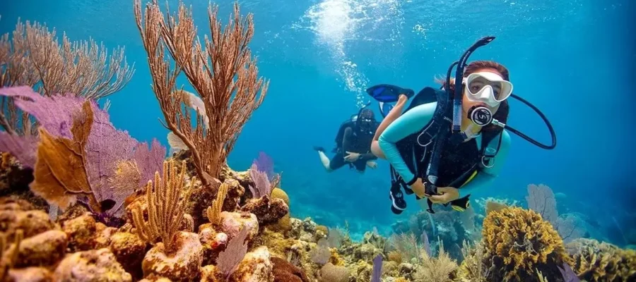 Soma Bay Diving Excursion Egypt Fun Tours min 1
