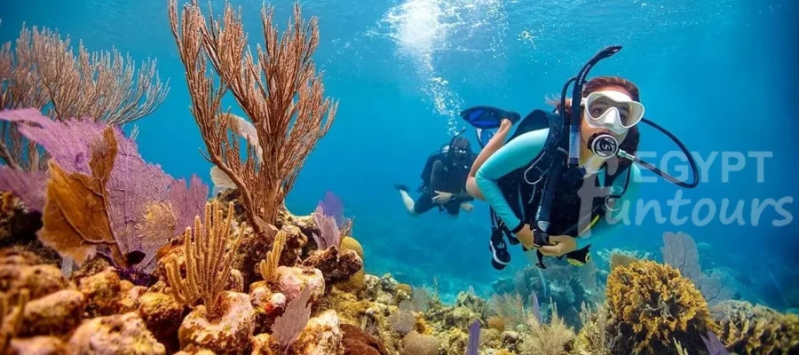 Soma Bay Diving Excursion Egypt Fun Tours