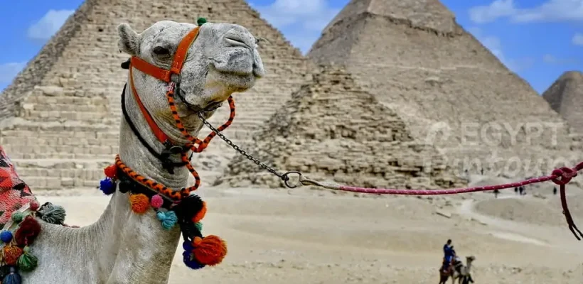 The Great Pyramids of Giza