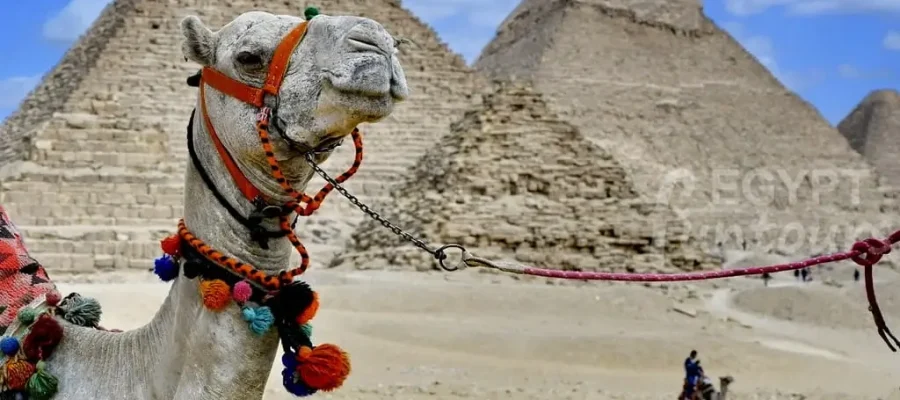 The Great Pyramids of Giza