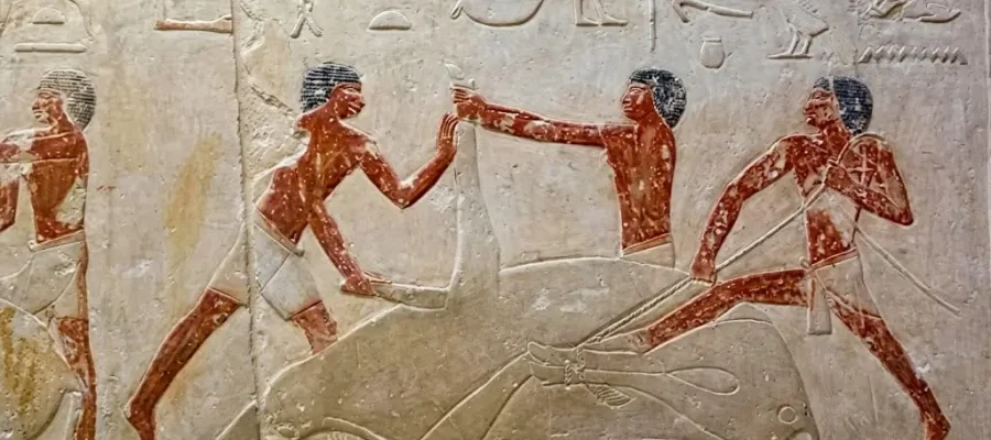 The Tomb of the Butchers; A Masterpiece of Daily Life in Saqqara
