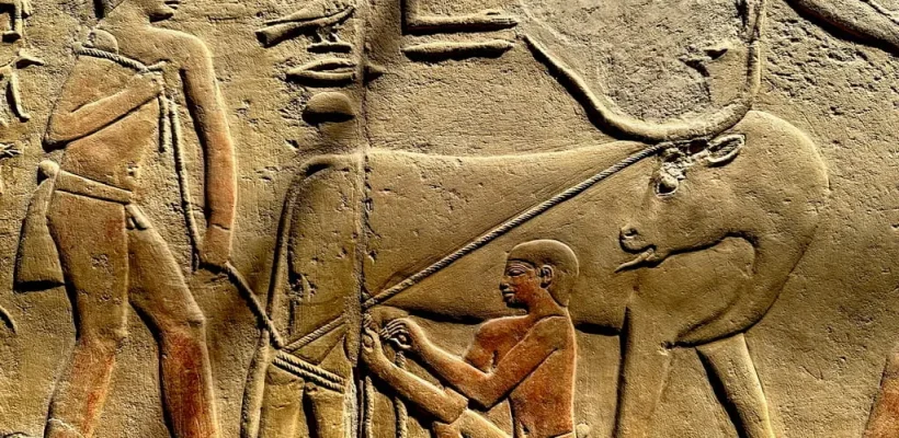 The nobles tombs in Saqqara - Tour from Cairo Airport