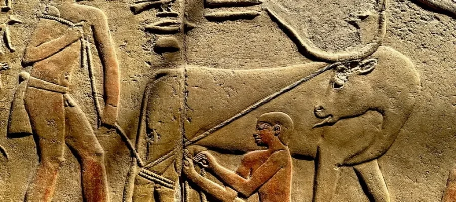 The nobles tombs in Saqqara - Tour from Cairo Airport