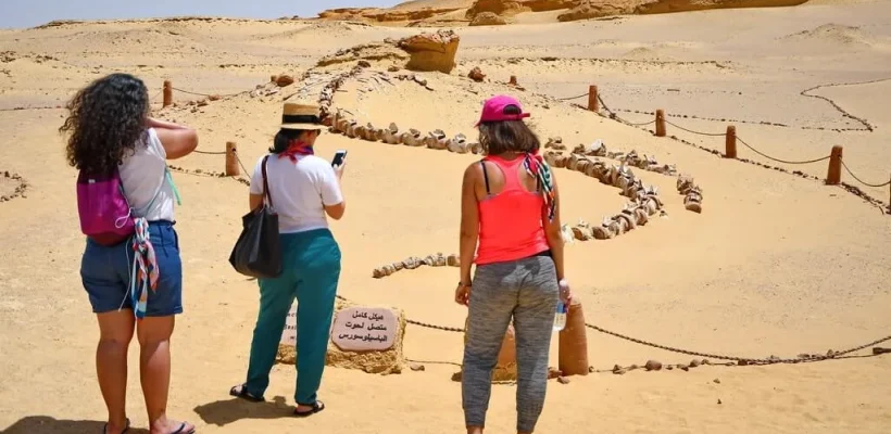 Tourists watching fossils at Wadi El Hitan