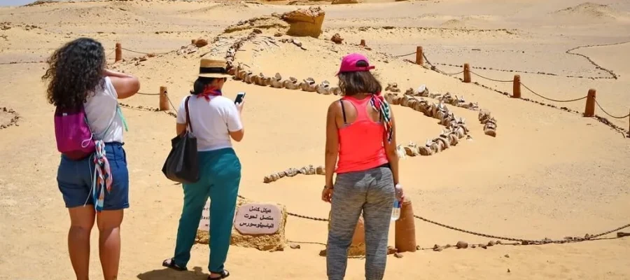 Tourists watching fossils at Wadi El Hitan