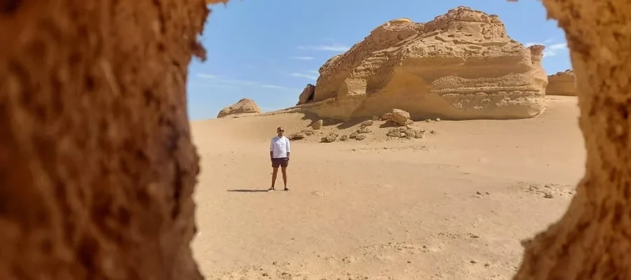 Wadi El Hitan Day Trip from Cairo