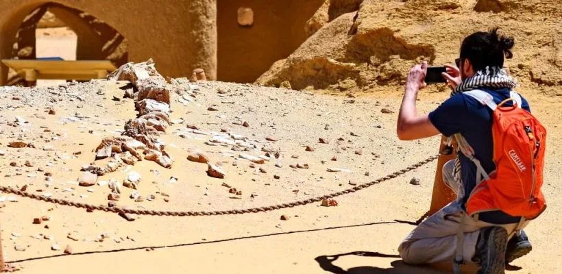 Wadi El Hitan Day Trip