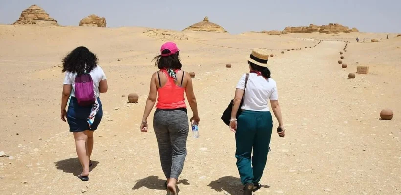 Wadi El Hitan Desert