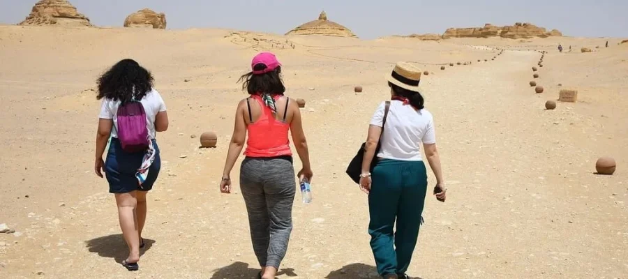 Wadi El Hitan Desert
