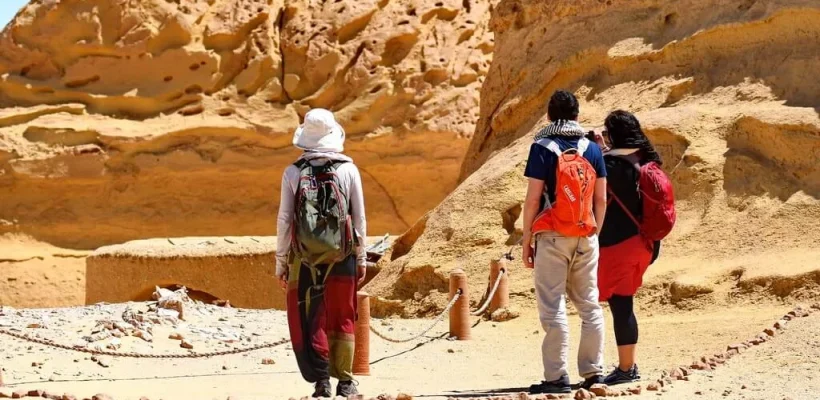 Wadi El Hitan Fossils