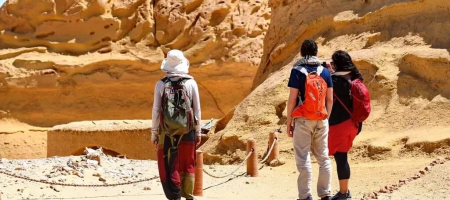 Wadi El Hitan Fossils