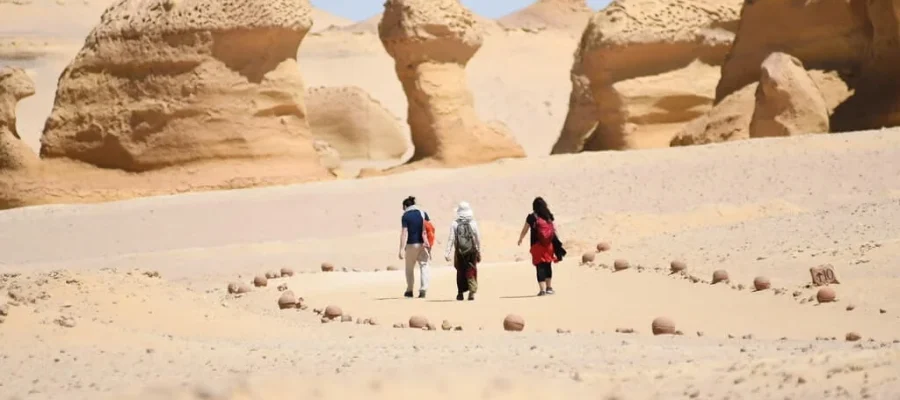Wadi El Hitan hiking track