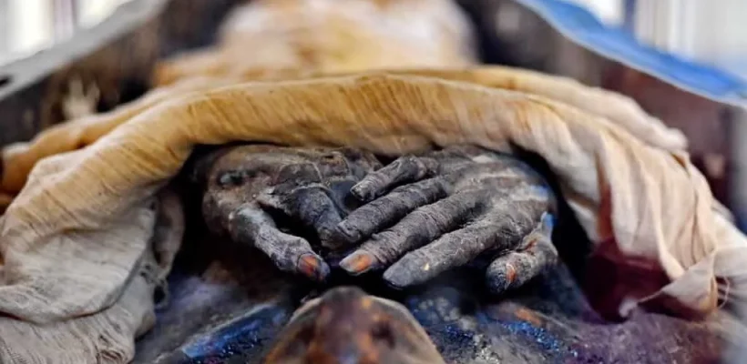 Where are the Royal Mummies - The Mummy from Yuya and Thuya collection