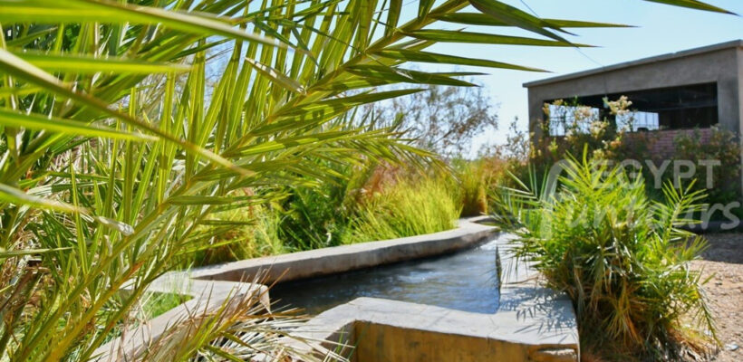 Camping in the White Desert