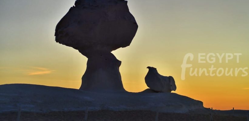 White black desert camping from cairo 31