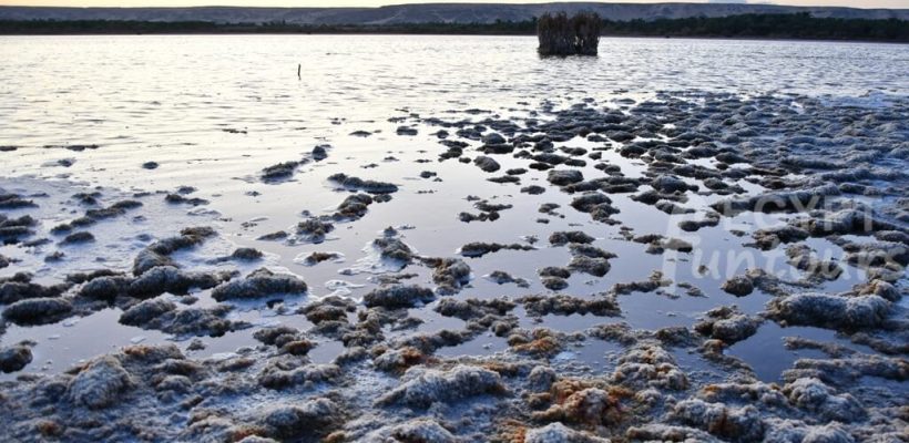 White Desert jeep safari experience - 5-Day Cairo and Bahariya