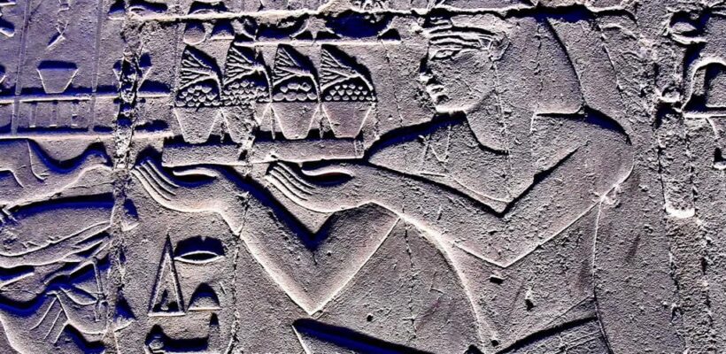 ancient Egyptian lotus flower Egypt Fun Tours 1